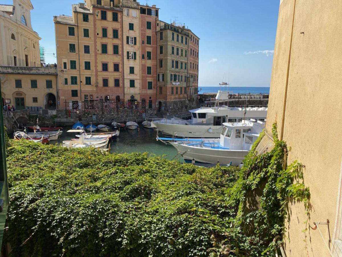 Camogli - "La Casa Di Judi" - Liguria Holidays Экстерьер фото